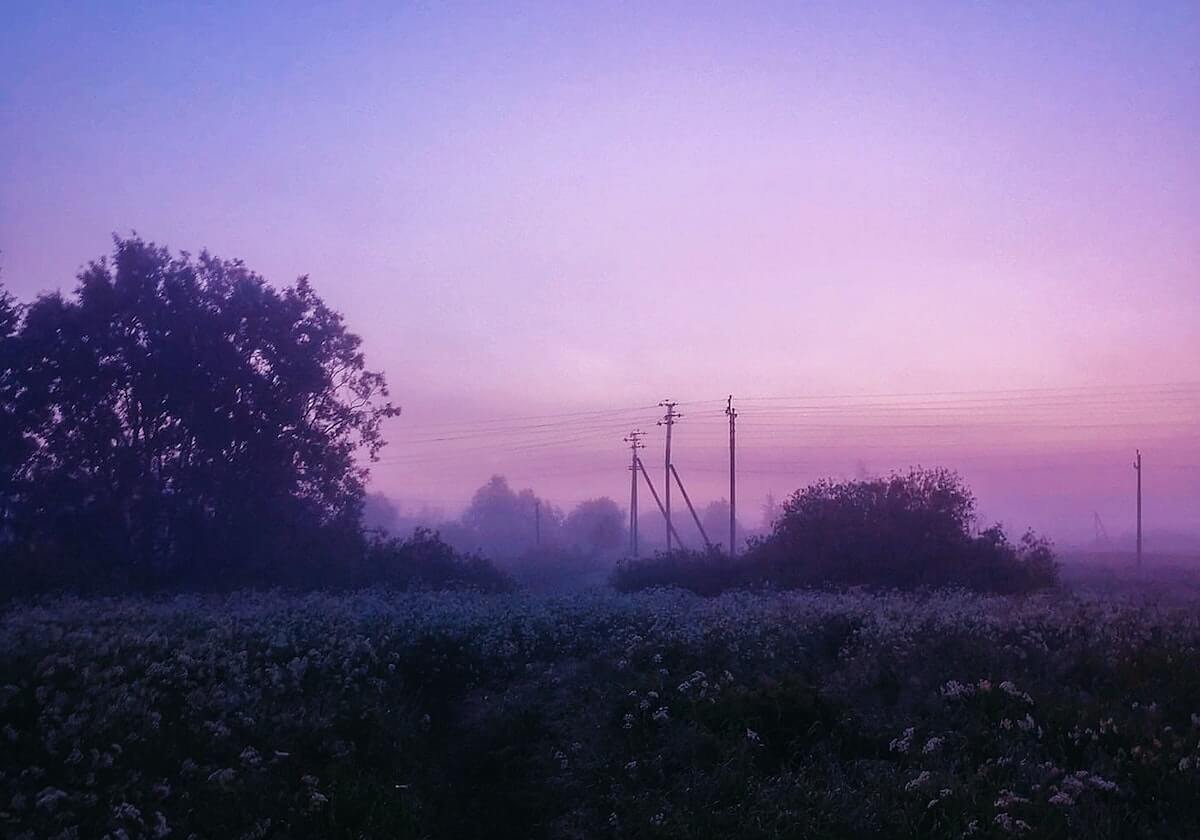 《园艺养成指南:狩猎丰收活动全新种子全收录》